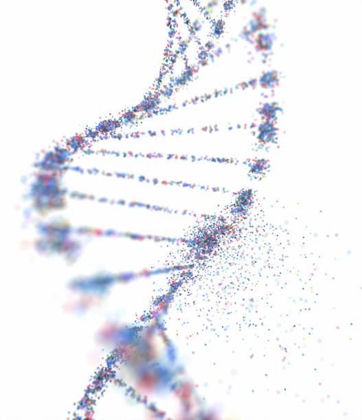DNA 이중나선